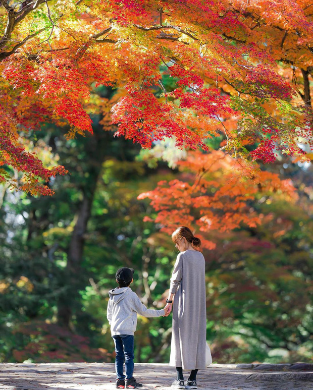 Có một nước Nhật đẹp đến nao lòng qua ống kính của ông bố trẻ “mê” chụp ảnh vợ và con trai, ai xem xong cũng “tan chảy” - Ảnh 9.