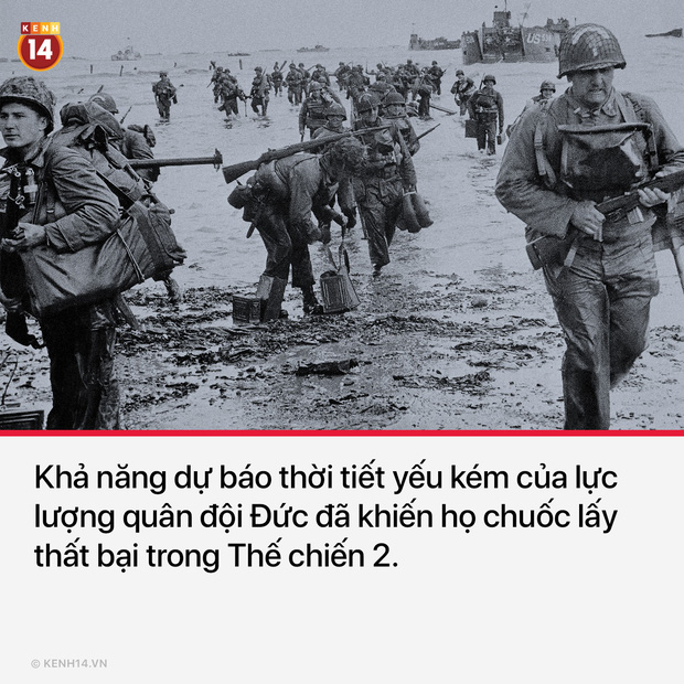 10 quyết định sai lầm chí mạng trong lịch sử khiến nhân loại tiếc ngẩn ngơ mà chẳng thể làm được gì - Ảnh 8.