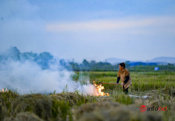 Mùa hun khói ở Hà Nội, máy bay cũng ngán sợ - Ảnh 3.