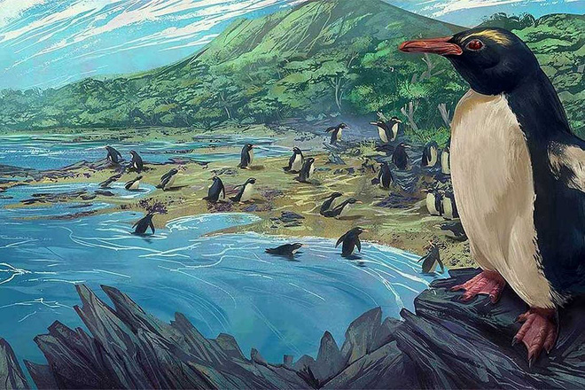 Chim cánh cụt cổ đại cao bằng người từng sống ở lục địa mất tích thứ 8 của Trái Đất - Ảnh 1.