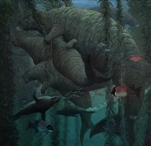 Chỉ mất 27 năm từ khi phát hiện ra đến khi tuyệt chủng, chuyện gì đã xảy ra với con vật khổng lồ dưới biển này? - Ảnh 16.