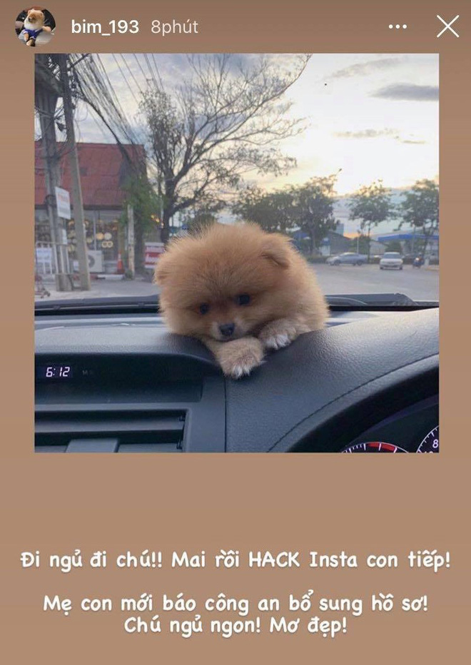 Nửa đêm bạn gái Đặng Văn Lâm bức xúc vì hacker: Instagram của chó cưng để chơi thôi mà cũng bị hack - Ảnh 1.