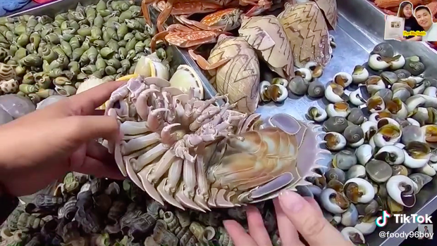 Loại hải sản được cho là ngon hơn cả tôm hùm ở Việt Nam, vì hiếm có khó tìm nên được rao bán với giá “đắt xắt ra miếng”? - Ảnh 3.