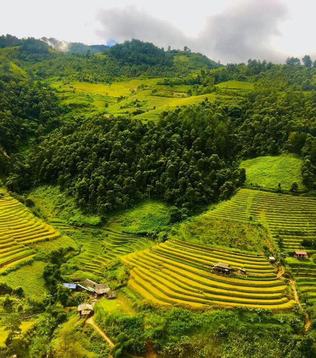 Nữ sinh người H’Mông đầu tiên của Mù Cang Chải được ngắm mùa vàng bằng trực thăng vì thành tích học xuất sắc - Ảnh 6.