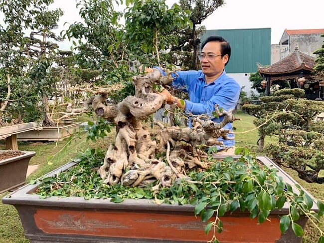 Cận cảnh khu vườn tiền tỷ của tay chơi cây cảnh nức tiếng Hà thành - Ảnh 8.