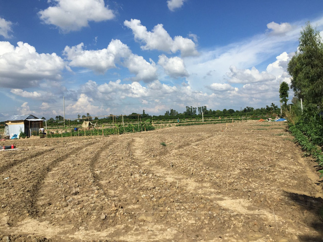 Từ Israel, vợ chồng 9x về qu&ecirc; l&agrave;m n&ocirc;ng nghiệp kh&ocirc;ng h&oacute;a chất: Biến đất cứng như đ&aacute; th&agrave;nh vườn dược liệu xanh mướt, sống rất hạnh ph&uacute;c! - Ảnh 3.