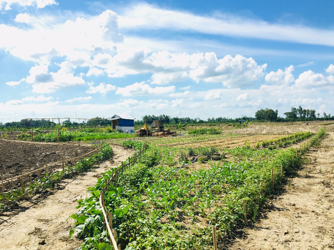 Từ Israel, vợ chồng 9x về qu&ecirc; l&agrave;m n&ocirc;ng nghiệp kh&ocirc;ng h&oacute;a chất: Biến đất cứng như đ&aacute; th&agrave;nh vườn dược liệu xanh mướt, sống rất hạnh ph&uacute;c! - Ảnh 4.