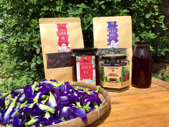 Từ Israel, vợ chồng 9x về qu&ecirc; l&agrave;m n&ocirc;ng nghiệp kh&ocirc;ng h&oacute;a chất: Biến đất cứng như đ&aacute; th&agrave;nh vườn dược liệu xanh mướt, sống rất hạnh ph&uacute;c! - Ảnh 9.