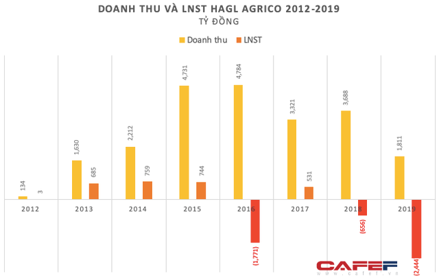 Nhìn lại một thập niên đầy thăng trầm của HAGL Agrico - Ảnh 2.