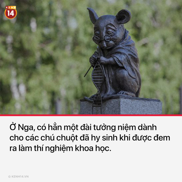 Những sự thật thú vị về các nước trên thế giới, càng đọc càng thấy mình chẳng biết gì - Ảnh 1.