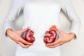 Sự thật về đông trùng hạ thảo: Có thật sự thần thánh như lời đồn? Có tác dụng với bệnh ung thư không? - Ảnh 7. Sự thật về đông trùng hạ thảo: Có thật sự thần thánh như lời đồn? Có tác dụng với bệnh ung thư không? - Ảnh 7.
