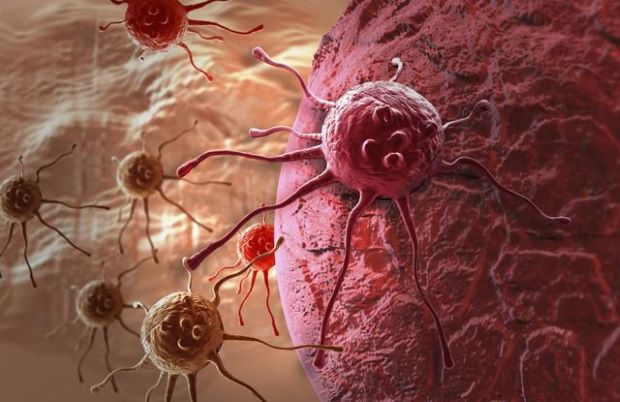 Hợp chất mới ngăn chặn sự phát triển của tế bào ung thư - Ảnh 1.
