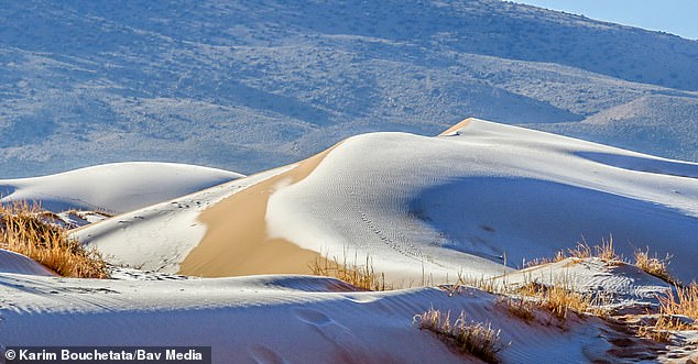 Chuyện khó tin: Tuyết rơi phủ trắng xóa một phần sa mạc Sahara, nhiệt độ chạm mức -2 độ C - Ảnh 1.