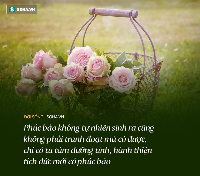 Không phải tiền, đây mới là thứ mà người khôn ngoan thường tích lũy: Ai cũng nên biết để cuộc đời viên mãn - Ảnh 4.