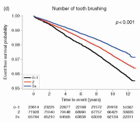 Mỗi phút lại có 1 người đột tử, sau 10 năm nghiên cứu: Đánh răng có liên quan đến bệnh tim - Ảnh 5.