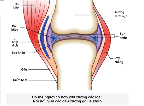 Âm thanh khi bẻ khớp - báo hiệu nhiều yếu tố nguy cơ - Ảnh 1.