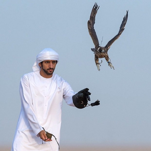 Thái tử đẹp nhất Dubai gây bão MXH khi đạp xe chạy đua với chim đà điểu khổng lồ, kết quả là người tám lạng, kẻ nửa cân - Ảnh 6.