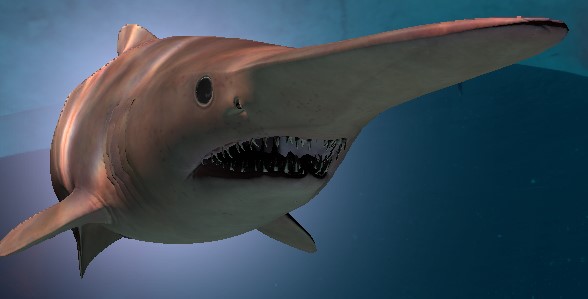 Bí ẩn về loài cá mập đáng sợ, xấu xí nhất hành tinh - Ảnh 3.