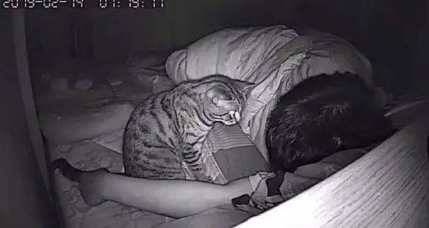 Thức dậy bỗng dưng thấy cả người đau nhức, cô gái vội kiểm tra camera mới ngỡ ngàng nhận ra mình bị mèo cưng trừng phạt cả đêm - Ảnh 3.