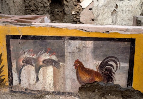 Chấn động giới khảo cổ: Tiệm ăn nhanh từ 2000 năm trước ở La Mã cổ đại với hài cốt bí ẩn bên trong - Ảnh 2.