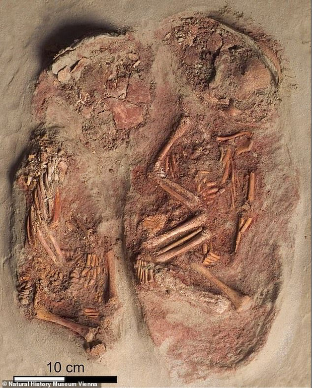 Phát hiện 2 bộ hài cốt em bé nhỏ xíu nhuốm màu đỏ máu, các nhà khoa học sửng sốt khi biết câu chuyện sinh đôi cùng trứng từ 30.000 năm trước - Ảnh 1.