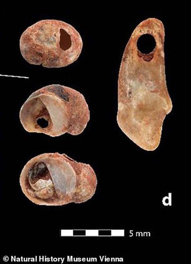 Phát hiện 2 bộ hài cốt em bé nhỏ xíu nhuốm màu đỏ máu, các nhà khoa học sửng sốt khi biết câu chuyện sinh đôi cùng trứng từ 30.000 năm trước - Ảnh 3.