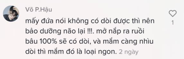 Sởn da gà với thuyết âm mưu nước mắm càng nhiều dòi càng... ngon, sự thật về hũ mắm có dòi khiến ai cũng sốc! - Ảnh 5.