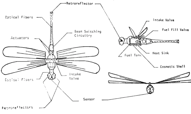 CIA đã chế tạo robot chuồn chuồn gián điệp từ thập niên 1970 - Ảnh 2.