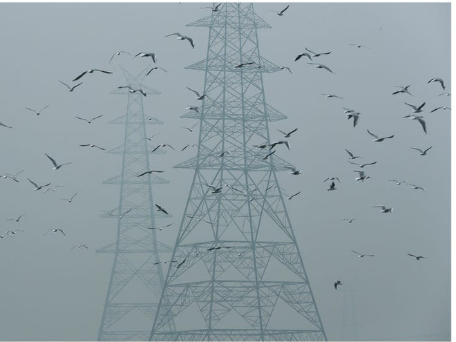 15 bức ảnh được chụp giữa đại dịch COVID-19 chứng minh: Thế giới sẽ trong l&agrave;nh trở lại nếu con người dừng hoạt động - Ảnh 11.