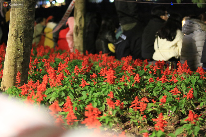 Chùm ảnh: Thảm hoa phố đi bộ hồ Gươm bị dẫm đạp nát bét sau đêm Tết Dương lịch, công nhân hối hả trồng lại - Ảnh 10.