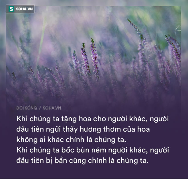 3 câu nói giúp nhiều người đổi đời, bạn đã áp dụng được bao nhiêu? - Ảnh 4.