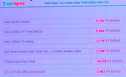  Ông Trần Bá Dương: Làm nông nghiệp nói chung và làm Chủ tịch HAGL Agrico nói riêng, với tôi là bất đắc dĩ!  - Ảnh 2.