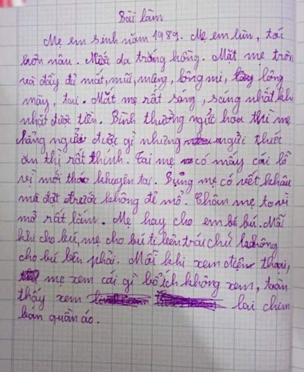 Bài văn bóc phốt mẹ của học sinh tiểu học: Mắt mẹ sáng nhất khi thấy tiền, mũi thính khi có đồ ăn, đọc đến câu cuối ai cũng tự nhột - Ảnh 1.