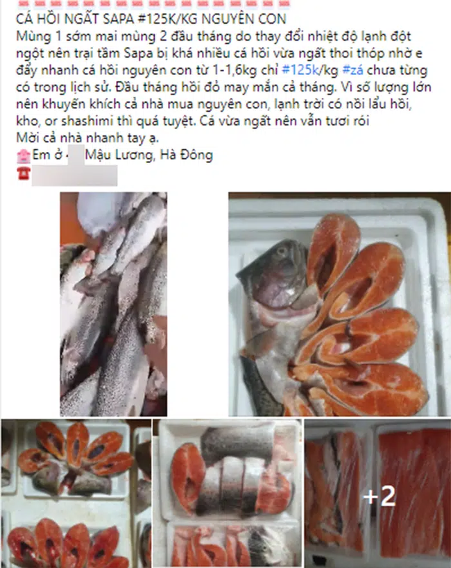 Cận Tết, cá hồi Sapa đồng loạt giảm giá xuyên đáy trên chợ mạng, chỉ 125 ngàn đồng/kg - Ảnh 1.