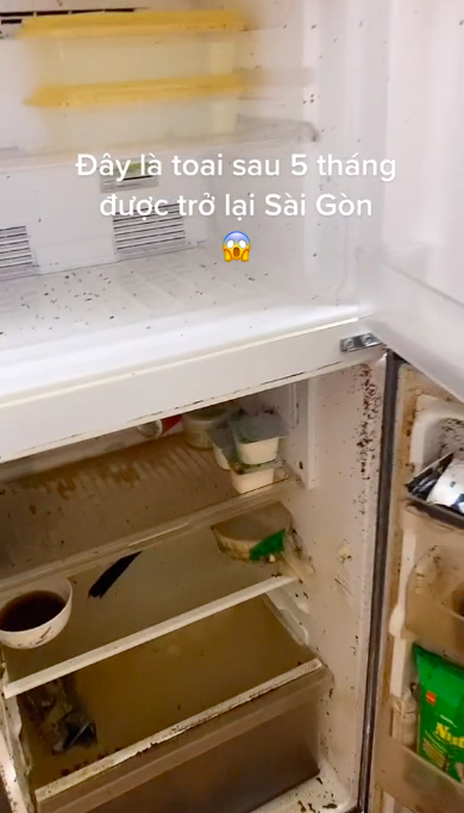 Trở lại Sài Gòn sau 5 tháng tránh dịch, mở tủ lạnh ra mà gia chủ muốn xỉu cái đùng vì cảnh kinh hoàng trước mặt - Ảnh 2.