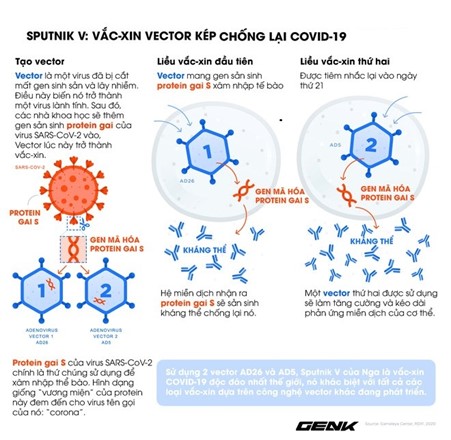 Các nhà khoa học báo cáo hiệu quả của vắc-xin Sputnik V với biến chủng Delta - Ảnh 4.