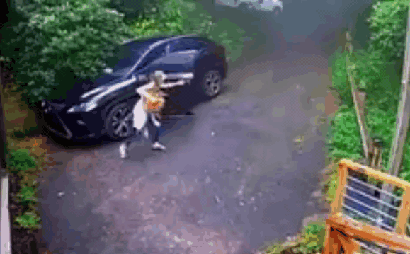 Clip: Gấu đen đột nhập vào Lexus khiến nữ tài xế hốt hoảng bỏ chạy