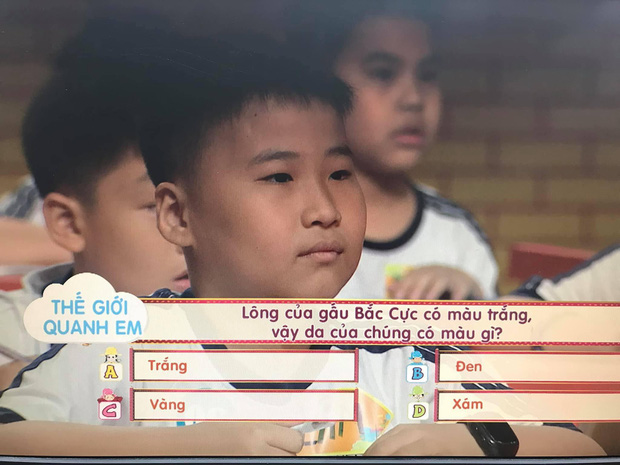 Câu hỏi tiểu học có đáp án bất ngờ nhưng lại sai ở 1 chi tiết nhiều người không biết: Lông của gấu Bắc Cực màu trắng, vậy da có màu gì? - Ảnh 1. Câu hỏi tiểu học có đáp án bất ngờ nhưng lại sai ở 1 chi tiết nhiều người không biết: Lông của gấu Bắc Cực màu trắng, vậy da có màu gì? - Ảnh 1.