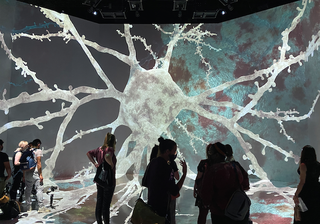 Vòng đời của neuron: Một chuyến du hành vào bên trong não bộ - Ảnh 9.