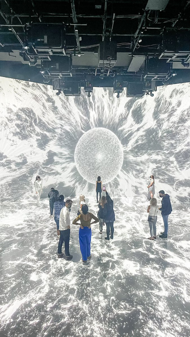 Vòng đời của neuron: Một chuyến du hành vào bên trong não bộ - Ảnh 14. Vòng đời của neuron: Một chuyến du hành vào bên trong não bộ - Ảnh 14.