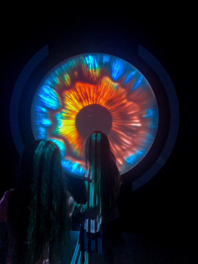 Vòng đời của neuron: Một chuyến du hành vào bên trong não bộ - Ảnh 15. Vòng đời của neuron: Một chuyến du hành vào bên trong não bộ - Ảnh 15.