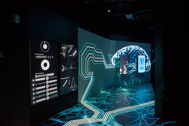 Vòng đời của neuron: Một chuyến du hành vào bên trong não bộ - Ảnh 16. Vòng đời của neuron: Một chuyến du hành vào bên trong não bộ - Ảnh 16.