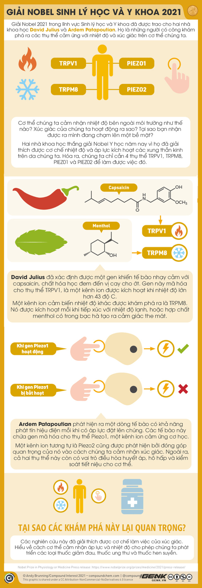 Ăn ớt thì nóng, ăn bạc hà thì mát: Giải thích được tại sao lại vậy thì bạn xứng đáng nhận giải Nobel - Ảnh 3.