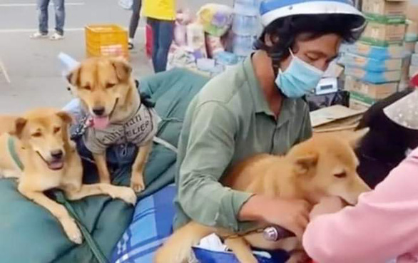 Áp lực dư luận vụ tiêu hủy 15 con chó, nữ Trưởng trạm y tế xã ở Cà Mau xin nghỉ việc - Ảnh 1.