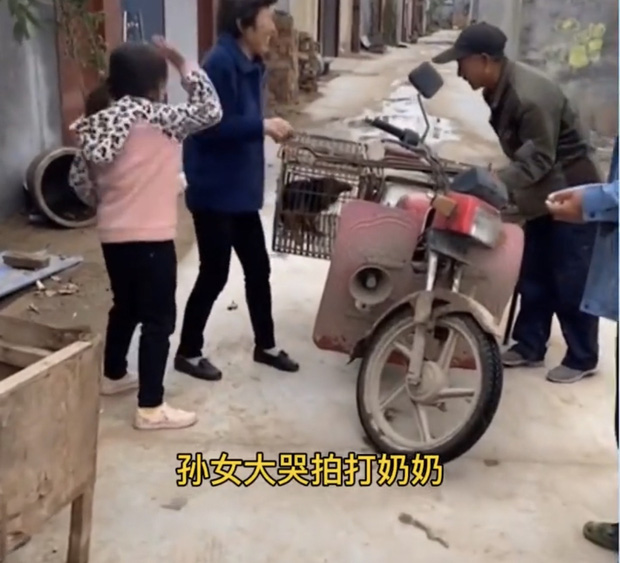 Video cô bé khóc lóc vật vã, ngăn không cho bà ngoại bán chó cưng nuôi 2 năm gây tranh cãi trên MXH - Ảnh 3.