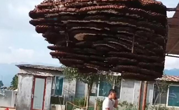 Phát hiện tổ ong 10 tầng to như cái nhà, dân làng thuê cần cẩu gỡ xuống để đem đi đăng ký kỷ lục Guinness - Ảnh 4.