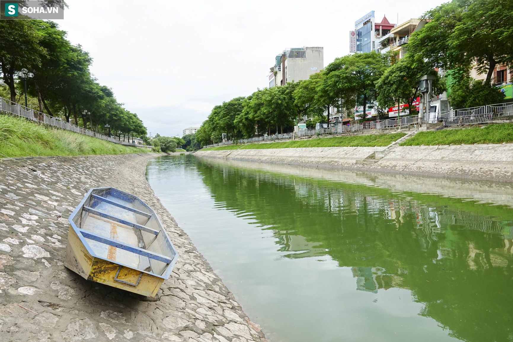 Nước sông Tô Lịch bỗng chuyển màu xanh ngắt hiếm thấy, người dân hân hoan bắt hàng tạ cá - Ảnh 12. Nước sông Tô Lịch bỗng chuyển màu xanh ngắt hiếm thấy, người dân hân hoan bắt hàng tạ cá - Ảnh 12.