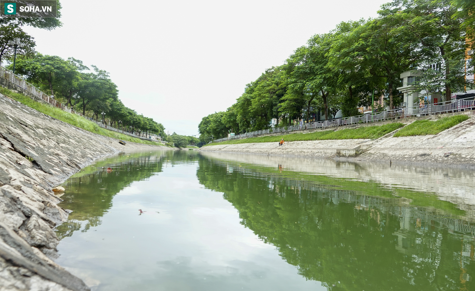 Nước sông Tô Lịch bỗng chuyển màu xanh ngắt hiếm thấy, người dân hân hoan bắt hàng tạ cá - Ảnh 1. Nước sông Tô Lịch bỗng chuyển màu xanh ngắt hiếm thấy, người dân hân hoan bắt hàng tạ cá - Ảnh 1.
