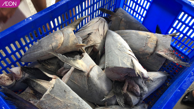 AEON Việt Nam hỗ trợ thức ăn cho các loài động vật ở Thảo Cầm Viên, mỗi tuần 400kg  - Ảnh 2.