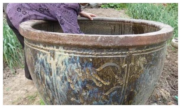 Cháu trai 2 tuổi bị rắn cắn chết, bà nội lập tức bị đuổi đi, nguyên nhân phía sau khiến ai cũng khó lòng tha thứ - Ảnh 3. Cháu trai 2 tuổi bị rắn cắn chết, bà nội lập tức bị đuổi đi, nguyên nhân phía sau khiến ai cũng khó lòng tha thứ - Ảnh 3.